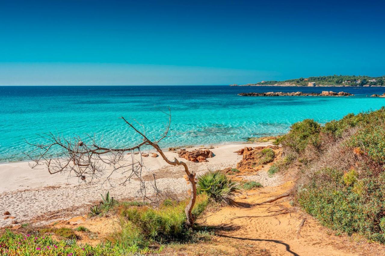 Ville In Resort Con Piscina A 2 Km Da Αλγκέρο Εξωτερικό φωτογραφία